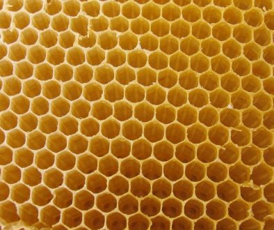 4367344-honeycomb-wallpaper