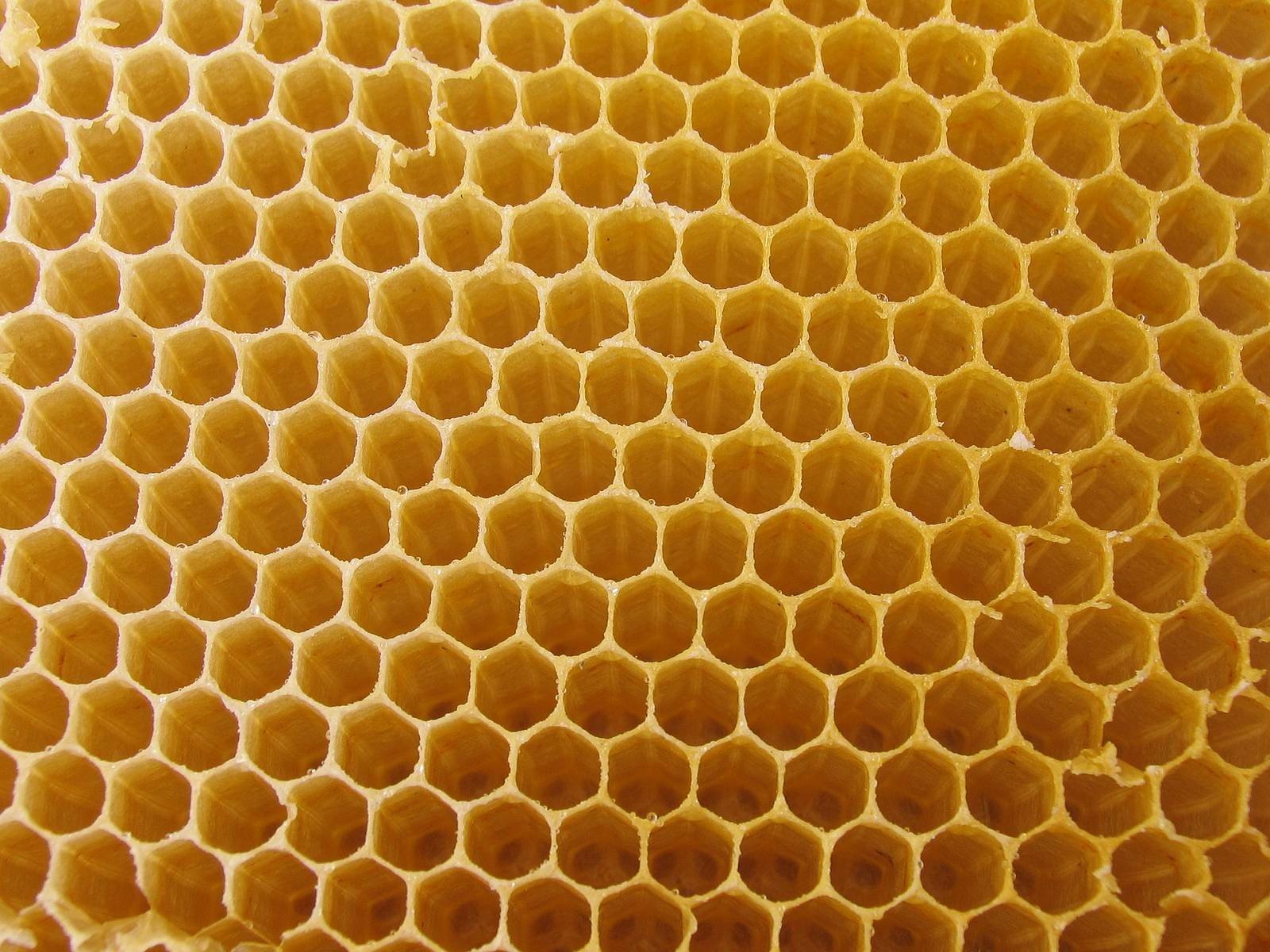 4367344-honeycomb-wallpaper