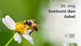 Svetovni dan čebel Svetovni dan čebel