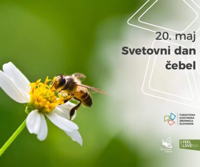 Svetovni dan čebel