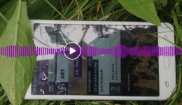Screenshot_59