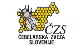 czs111 (2)